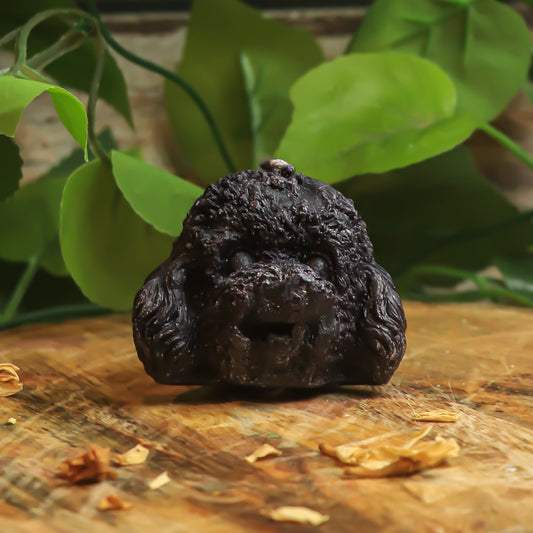 Real Dog Face Figure Candle Black