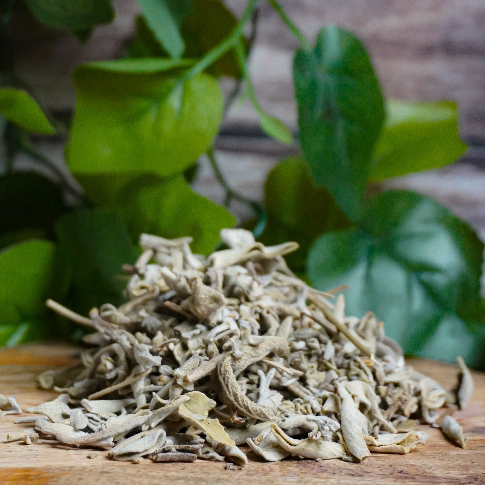 Real White Sage Leaves Herb