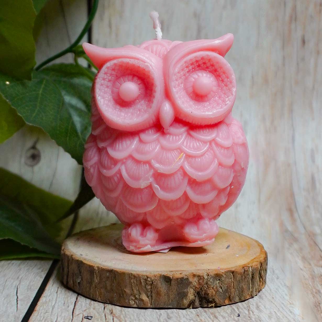 Real Owl Figure Candle Light Pink