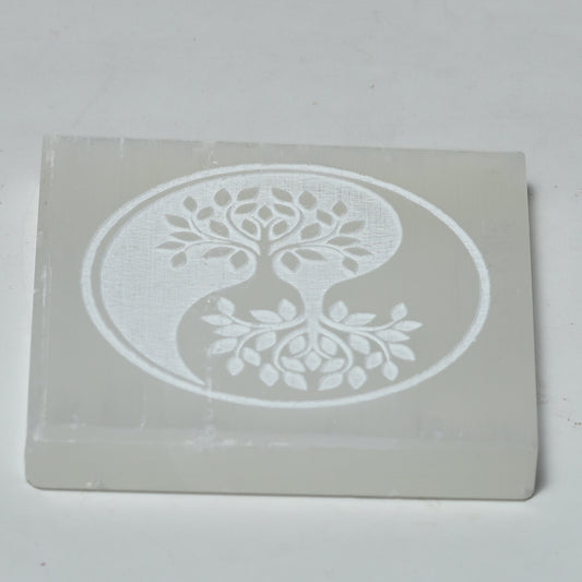 Real Yin Yang Tree of Flower Sign Selenite Slab