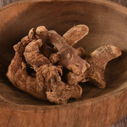 Real Galangal (Alpinia Galanga) Herbs