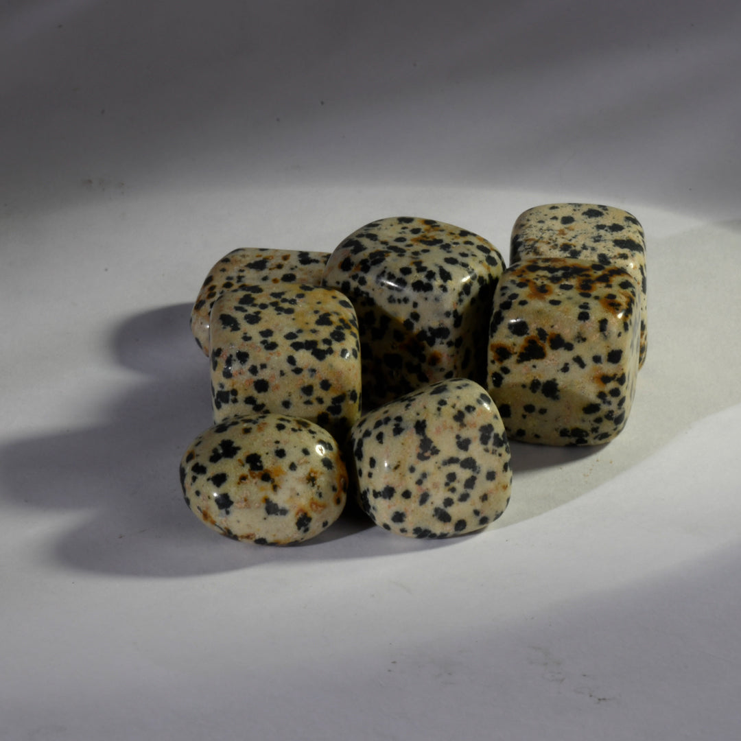 Dalmation Jasper Crystal Tumbles/Tumbled Stone