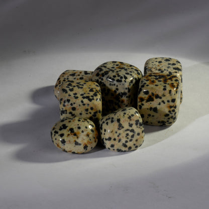 Dalmation Jasper Crystal Tumbles/Tumbled Stone