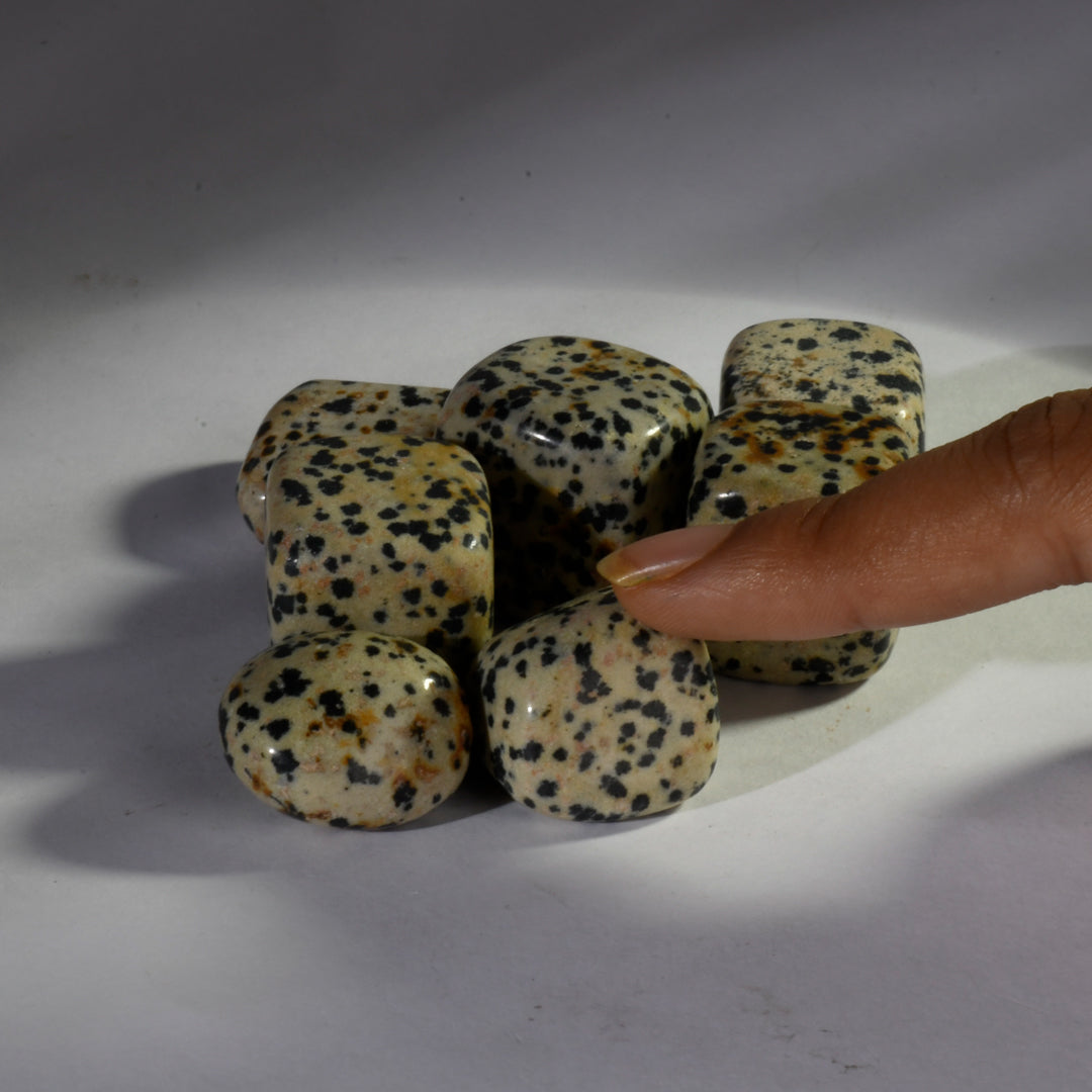 Dalmation Jasper Crystal Tumbles/Tumbled Stone