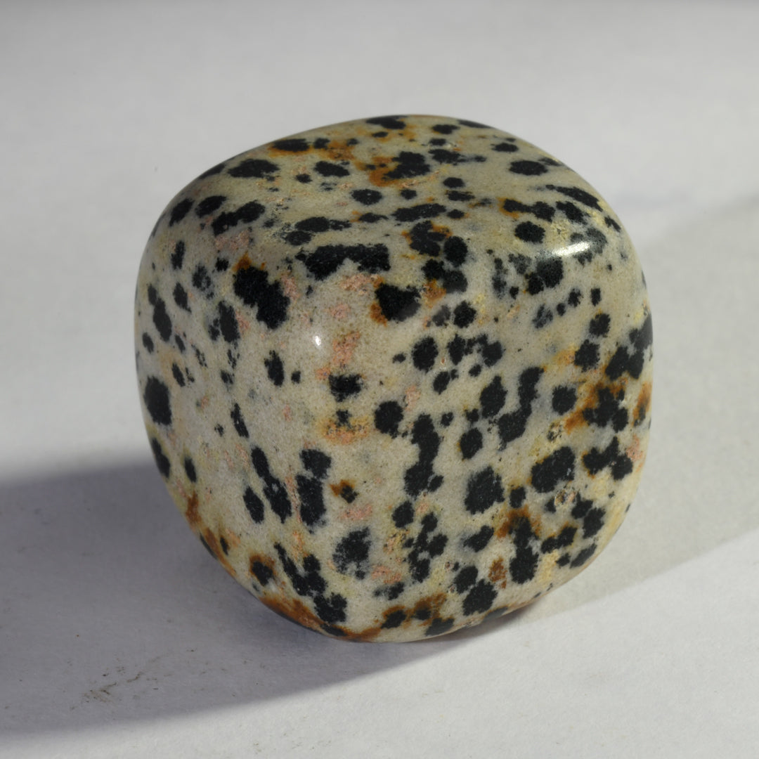 Dalmation Jasper Crystal Tumbles/Tumbled Stone