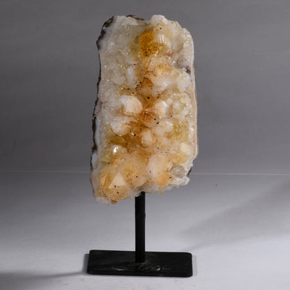 Real Citrine Standing Crystal Clusters