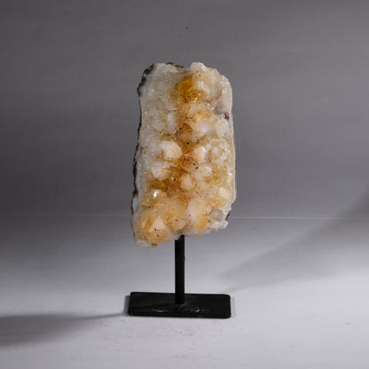 Real Citrine Standing Crystal Clusters