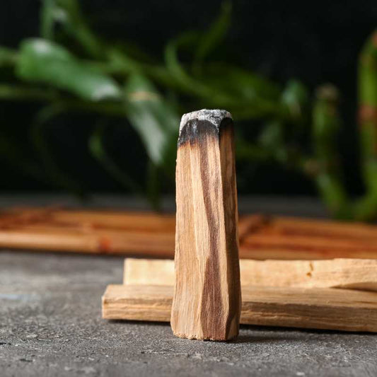 Real Palo Santo Goodness Pure Authentic Peruvian